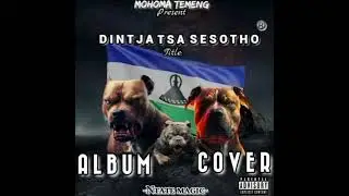 01. Raba Kena feat Ntate Magic _ Dintja Tsa Sesotho Official audio
