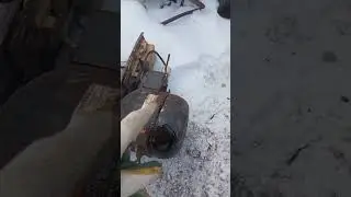Copper in a refrigeration compressor #shorts #top #top #copper #compressor #garage #scrap metal #...