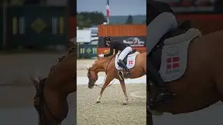 Dressage Poneys | Vendredi aux Championnats d&rsquo;Europe 2025 &ndash; Premi&egrave;res reprises individuelles