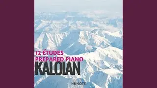 12 &Eacute;tudes for Prepared Piano: VII. 6/2 (Prepared Dream Harpsichord)