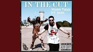 In The Cut