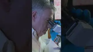 You Won't Believe What These Viruses Do to Bees!
