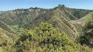 Then and Now: 2017 Skirball Fire and 2020 Sepulveda Fire