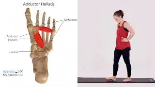 Metatarsal Arch Mobilisation