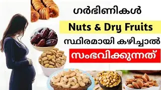 Eating Nuts and Dry Fruits During pregnancy ❌ Benefits and Side effects of Eating Nuts & Dry fruits