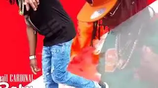 Smail cardinal baby vil la sou anbyans New trak♨♨♨
