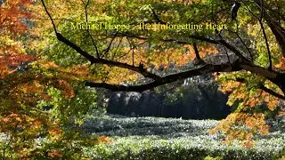 Michael Hoppe : The Unforgetting Heart