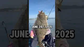 Bay Area Halibut Fishing Tournament!