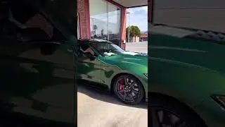 Eruption Green Shelby GT500 Sold! 🐍