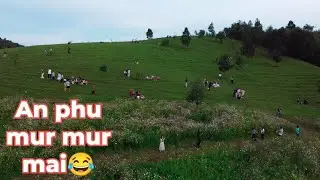 Родителей много!!! Вид с дрона