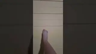19 de agosto de 2025