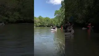 Kayak fishing #shorts