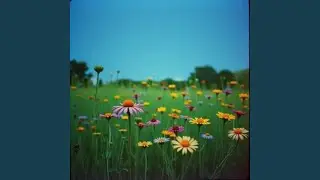 In this moment
