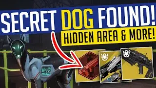 Destiny 2 | SECRET DOG FOUND! HIDDEN Seraph Area, Jump Puzzle, Robot Dog & More!