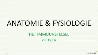 Virussen