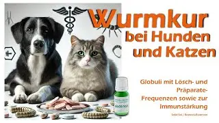 Glob 507 Wurmkurbuddy Hund/Katze. Globuli mit L&ouml;sch- und Pr&auml;parate- Frequenzen und zur Immunst&auml;rkung