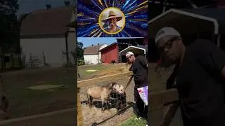 So, I Guess He Created a Farm Sanctuary. 🤣🤣🤣