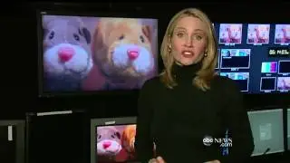 'Good Guide's' Bad Toy Safety Claims