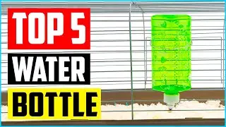 Top 5 Best Rabbit Water Bottle of 2021 Review