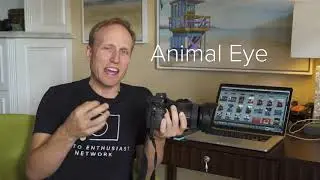 Sony a9 NEW FIRMWARE- Real Time Tracking AF/EYE-AF Demo