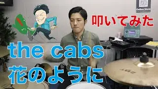 【drum cover】the cabs - 花のように - drum cover【叩いてみた】
