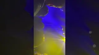 Rei Brown | Picture Frames Live | Terminal 5 | Nov 13th 2021