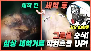 압력 약해서 답답하셨죠? 야마비시 MTE2-250 고압세척기로 도축 가공 세척 고민 끝! (380V 삼상)