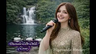 Niyaməddin Musayev- Durnalar Gölə Gəldi (Cover)