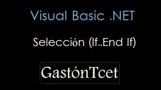 vb.net | Selección (If..End If)