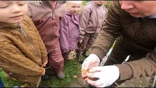 Voksnes spørgsmål og børns undringer  - Børn i Naturfaglige Forundringsmiljøer