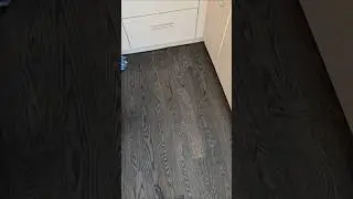 eboni color #diy #wood #qualityflooring #tips #home #woodworking #flooring #cleantok #satisfying