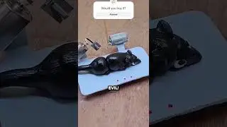 the most evil mouse trap