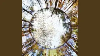 The Very Eye Of Night