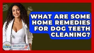 What Are Some Home Remedies For Dog Teeth Cleaning? - Ask A Pet Vet