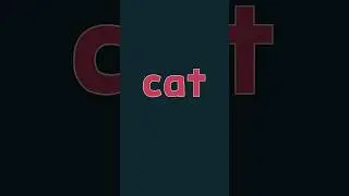 CVC Phonics 1
