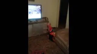 Dean dancing to Gangnam Style!