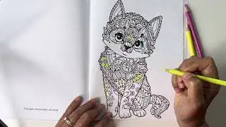 Cat & RESTLY Macaron 50+1 Drawing Pencils Set 🐈 Coloring Together 🎨 Do what YOU LOVE ❤️