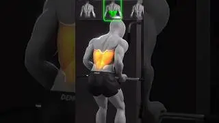 How to target full back muscles with just 3 cables exercises #backworkout #ukbff #postworkout #music