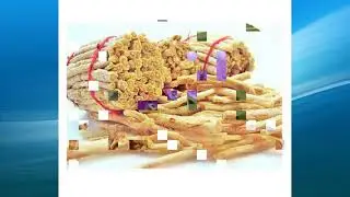 adenophora extract supplier,wholesale,bulk,factory