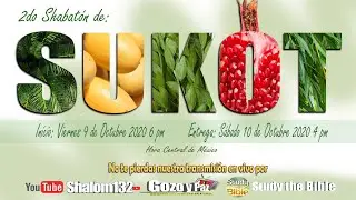 🔴ENTREGA DEL SEGUNDO SHABAT DE SUKOT con el Roeh Dr. Javier Palacios Celorio EN VIVO
