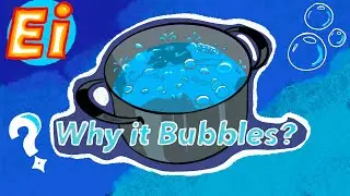 Bubbly Bubbles...Explained! | Why water Bubbles when it Boils?
