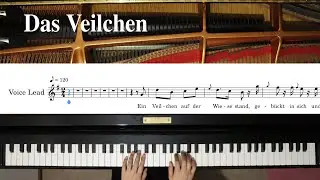 【ピアノ伴奏】Das Veilchen/G-dur《楽譜付き》