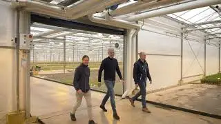 Bunnik Plants - GreenSwitch