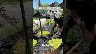 🎥💚 Check out this stunning front garden makeover!