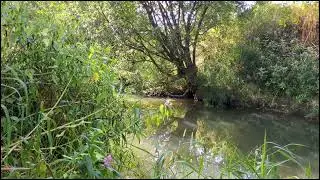 Fordcombe &mdash; River Medway &mdash; Session 1 (25th August, 2025)