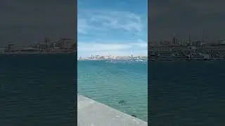 Вила ду Конде. Чайки парящие над бирюзовой волной #portugal #travel #attraction  #vacation
