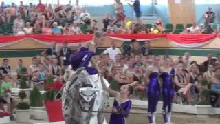 Junior Vaulting WM 2017 - Swiss Team T&ouml;sstal - Free Style Final - Rank 3