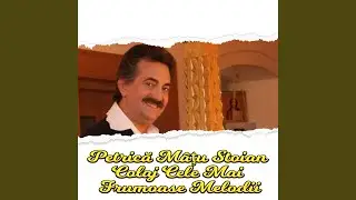Petrică M&acirc;țu Stoian Colaj Cele Mai Frumoase Melodii