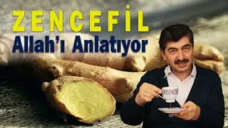 Zencefil Allah'ı Anlatıyor | Cemil Tokpınar