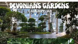 Devonians Gardens, Must see Botanical Garden in Calgary, Alberta
